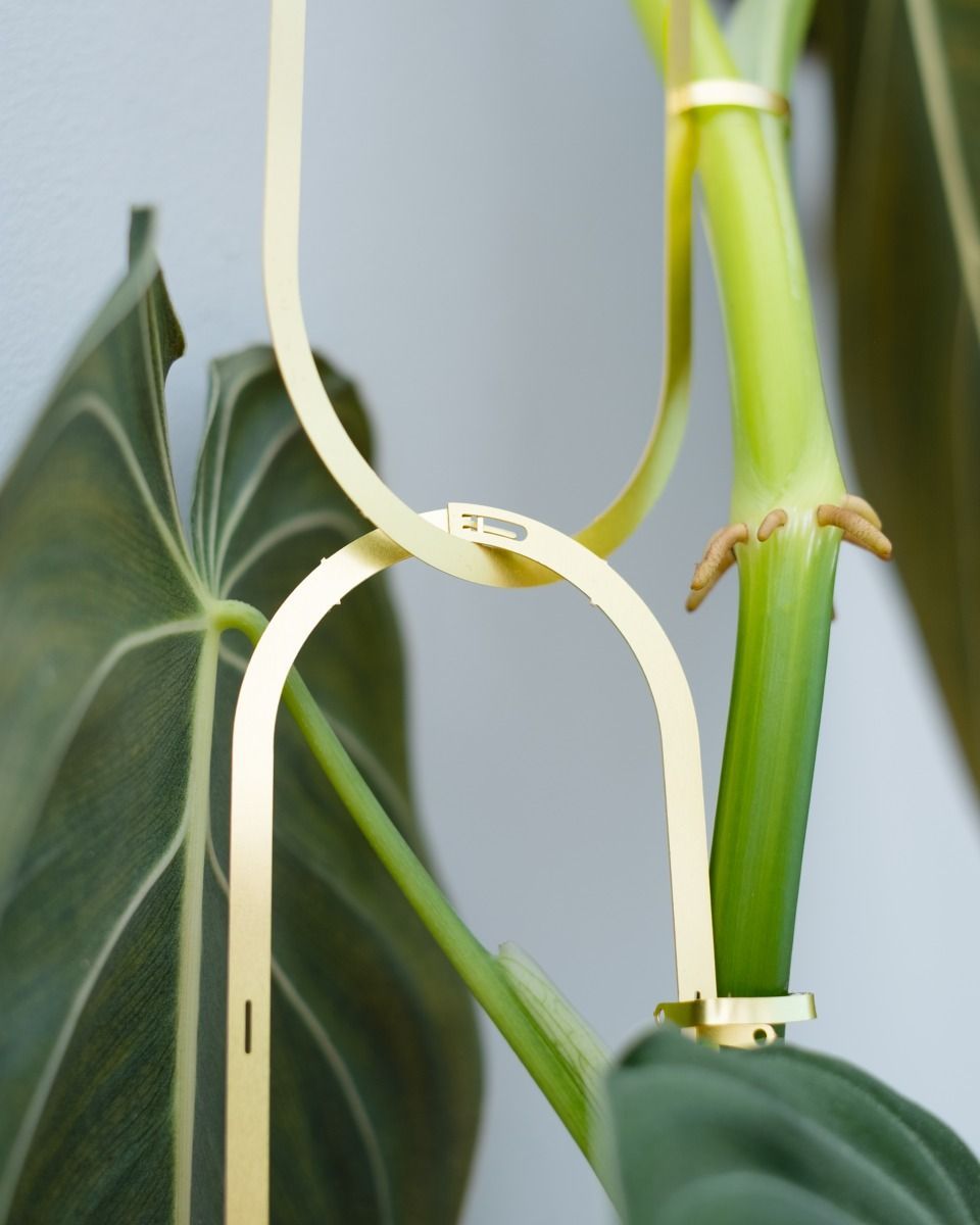 Plant Ketting Messing