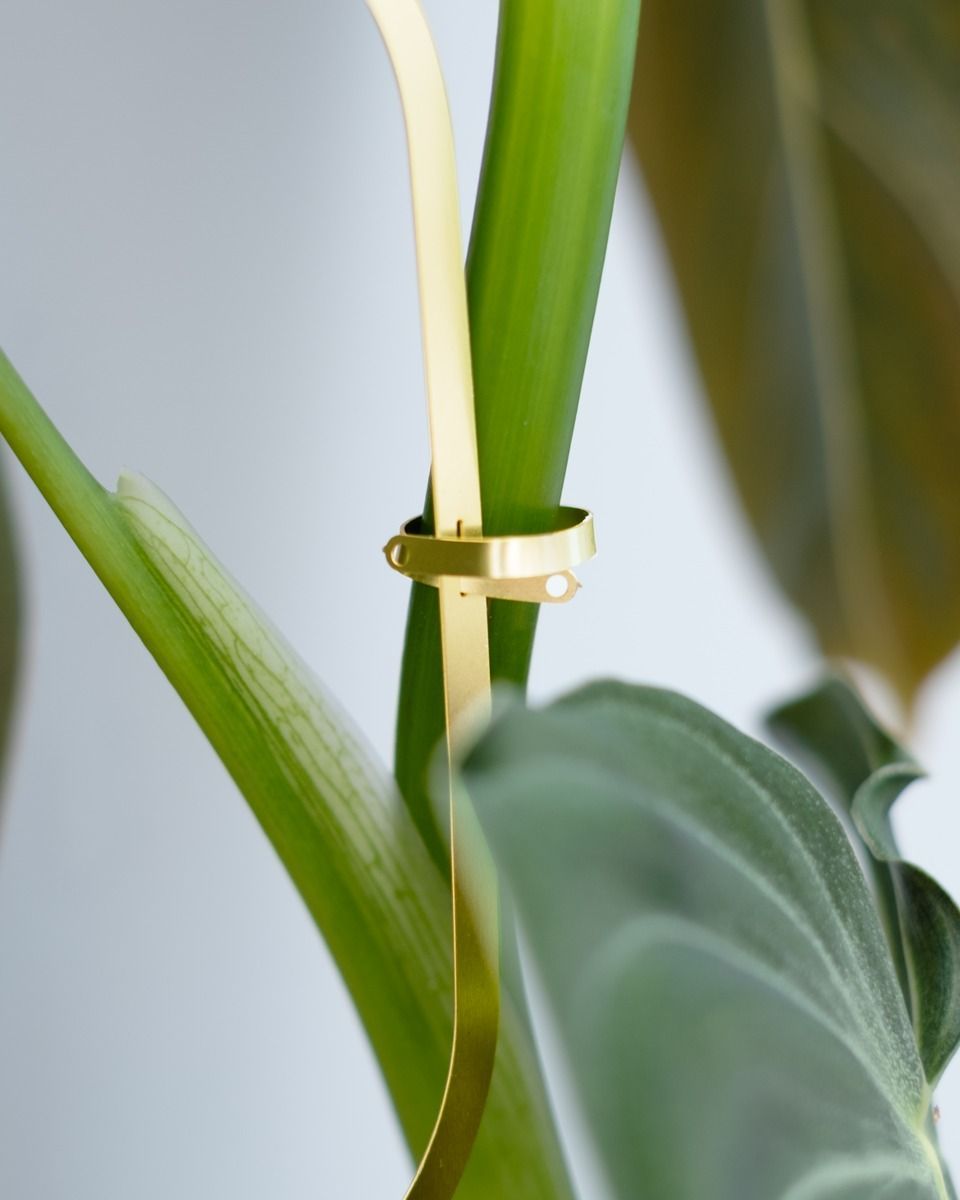 Plant Ketting Messing