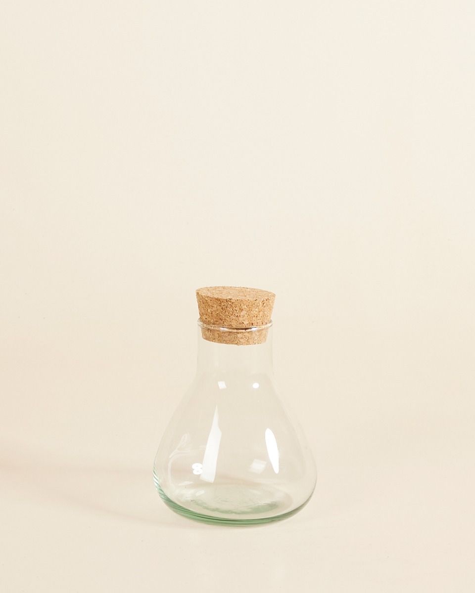 Emily Terrarium Mini Ø 12 cm