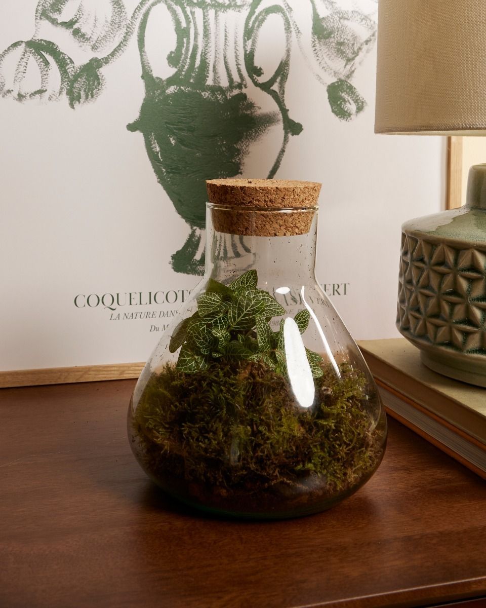 Emily Terrarium Klein Ø 17 cm