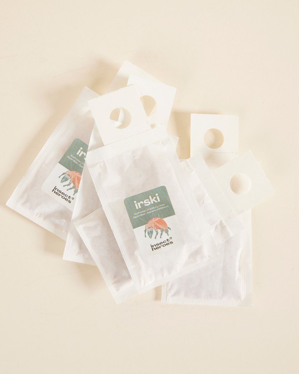 Lutte biologique : thrips Irski (set of 5)