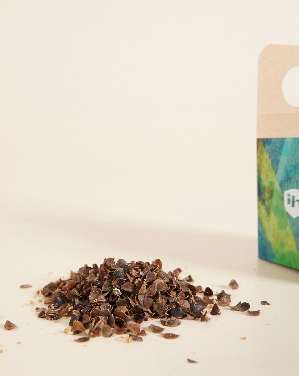Lutte biologique : cochenilles farineuses Crypto