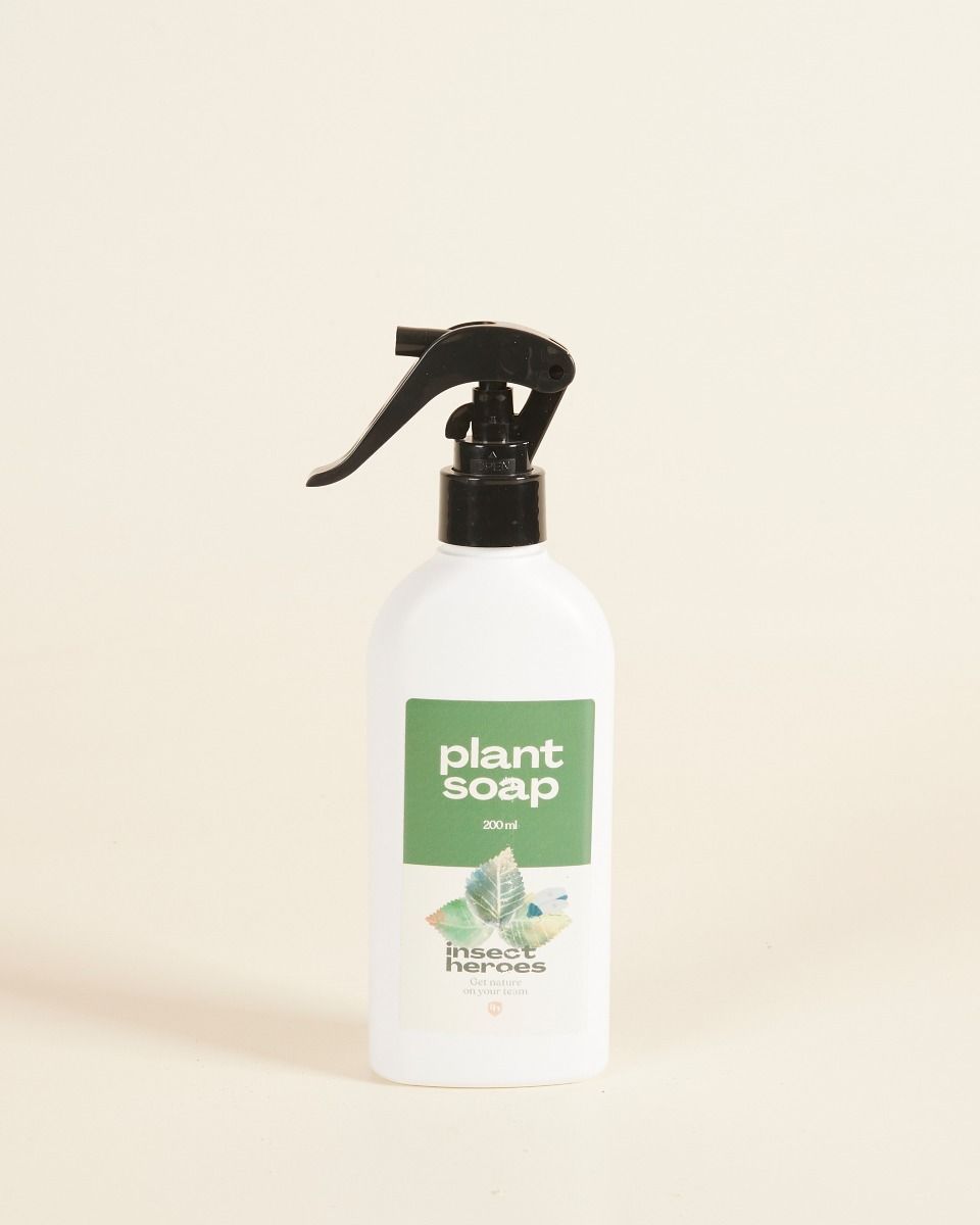 Plant soap Preparation biological control