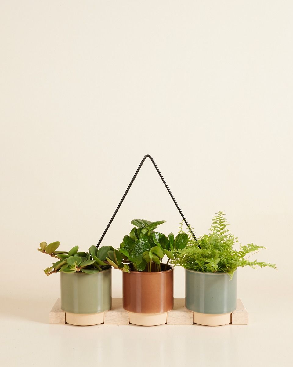 Lisa Pot Hanger  Small
