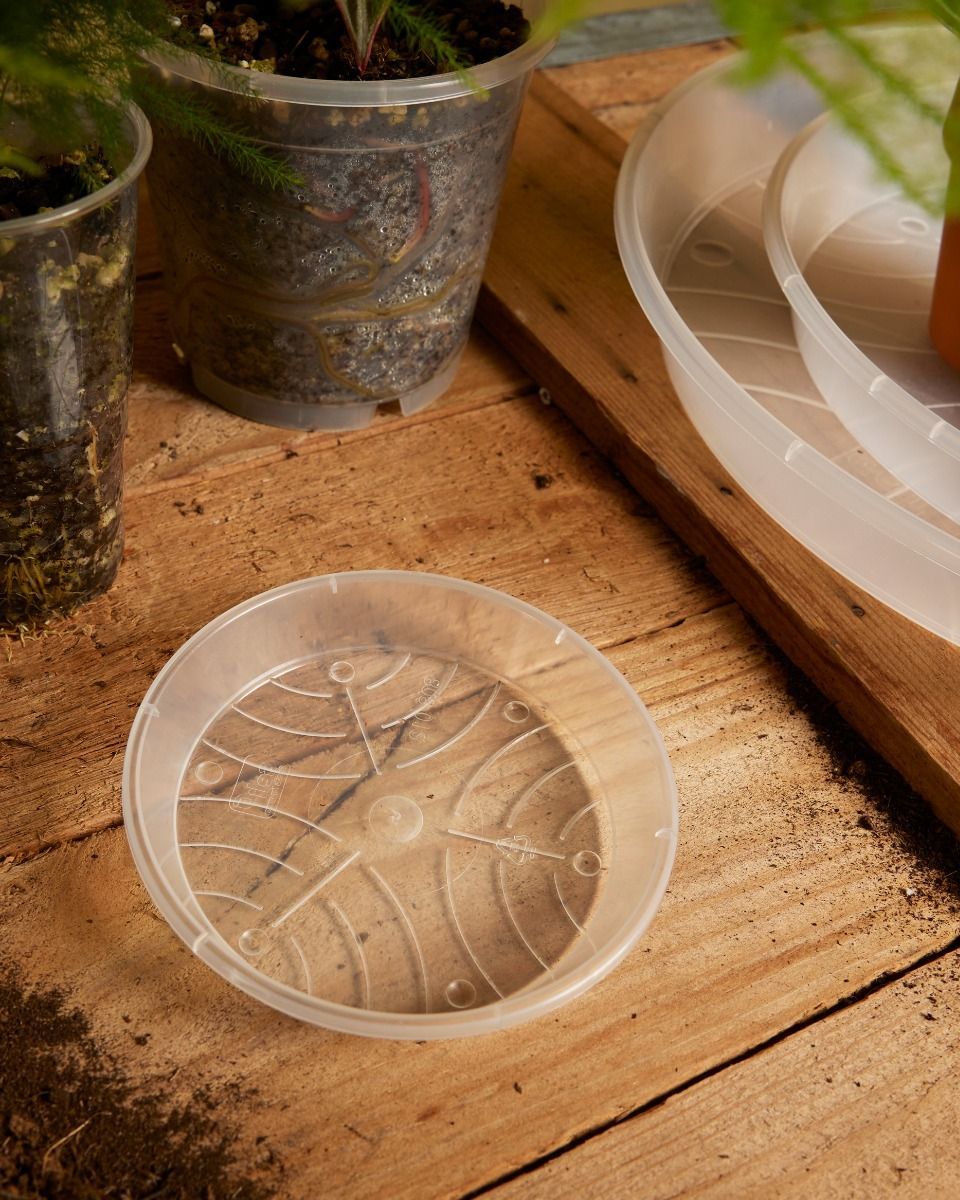 Plant Saucer Transparent Ø 12 cm