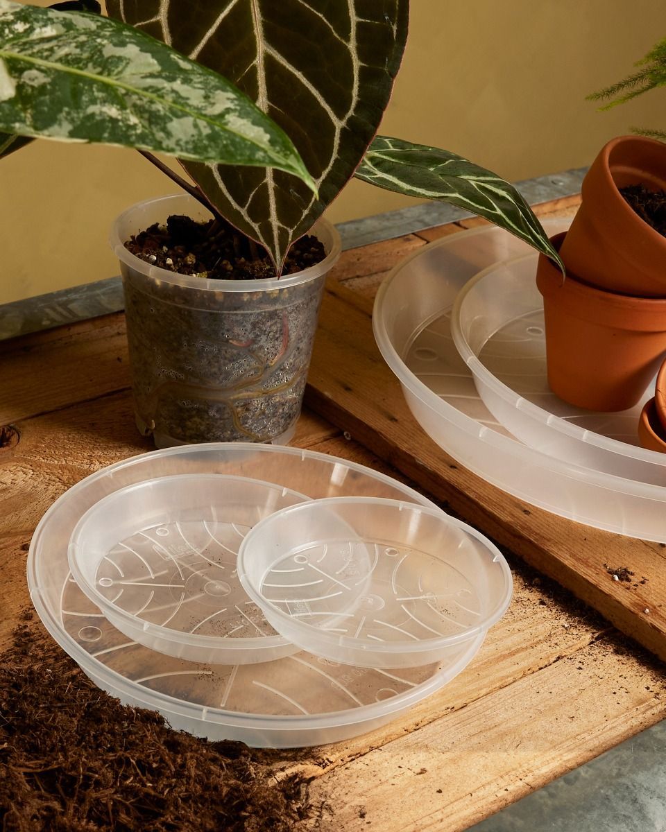 Plant Saucer Transparent Ø 12 cm