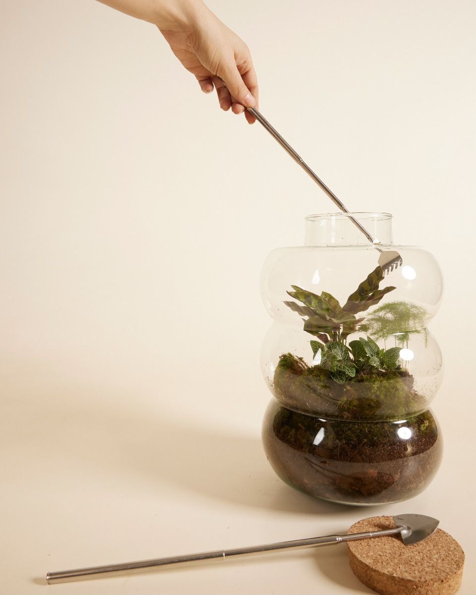 Toby Terrarium Tool Kit