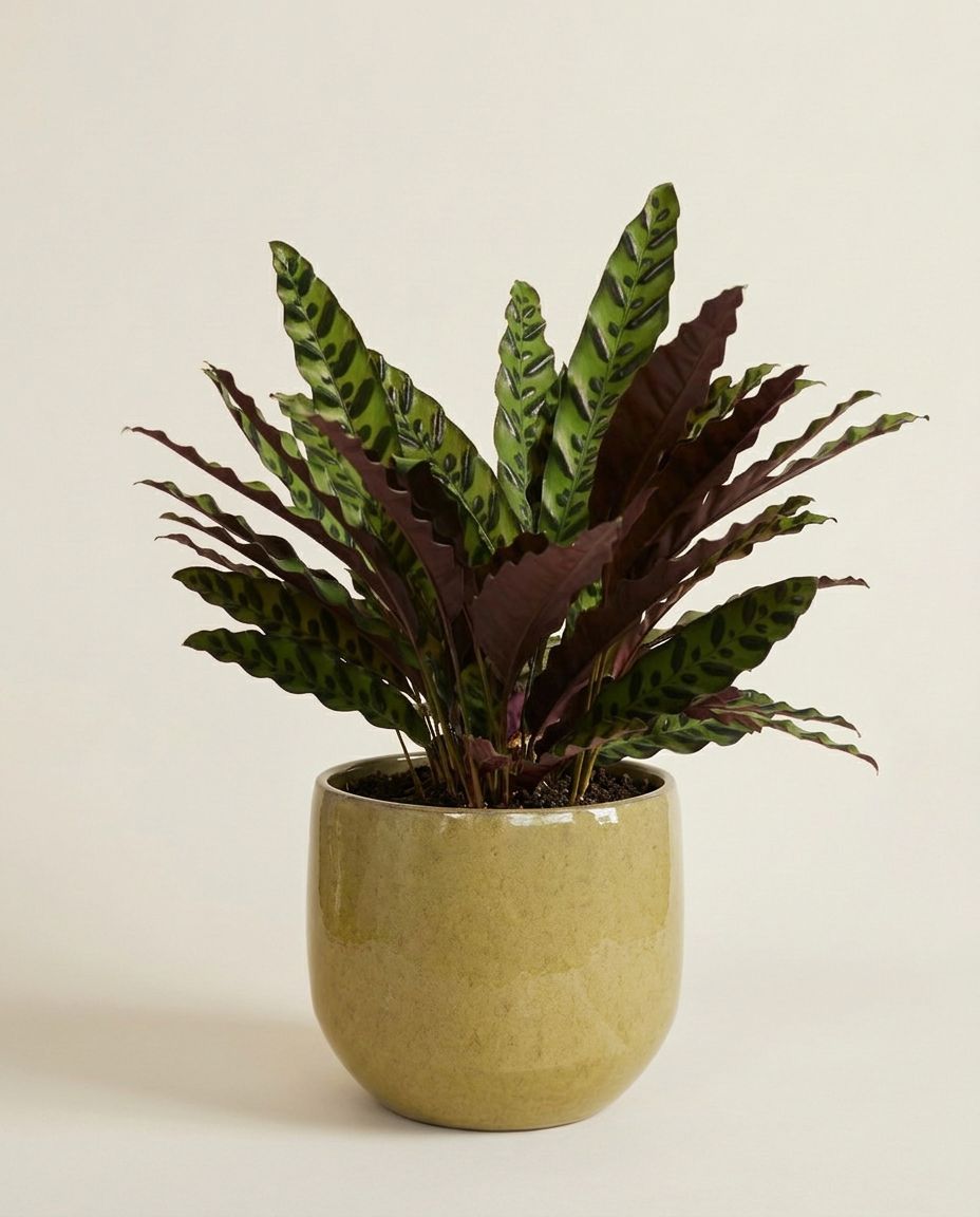 Matteo Pot Taupe Ø 22 cm