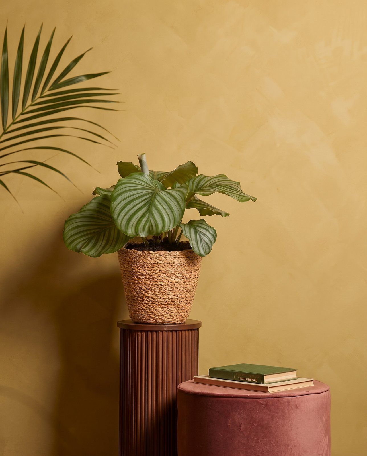 Mand Gaby TW-M Naturel BM Ø 14 cm