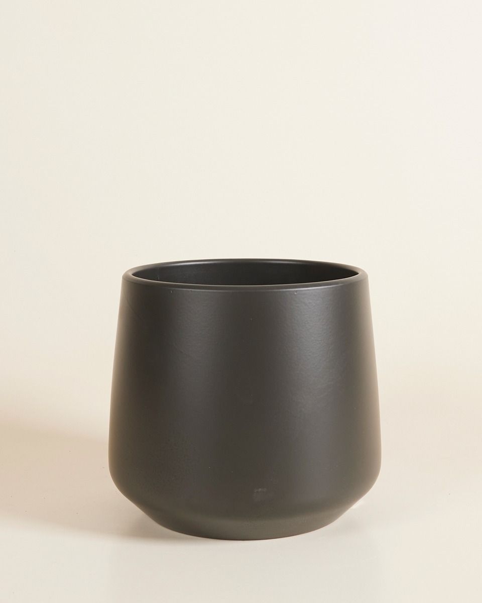 Amber Pot Noir Ø 17 cm