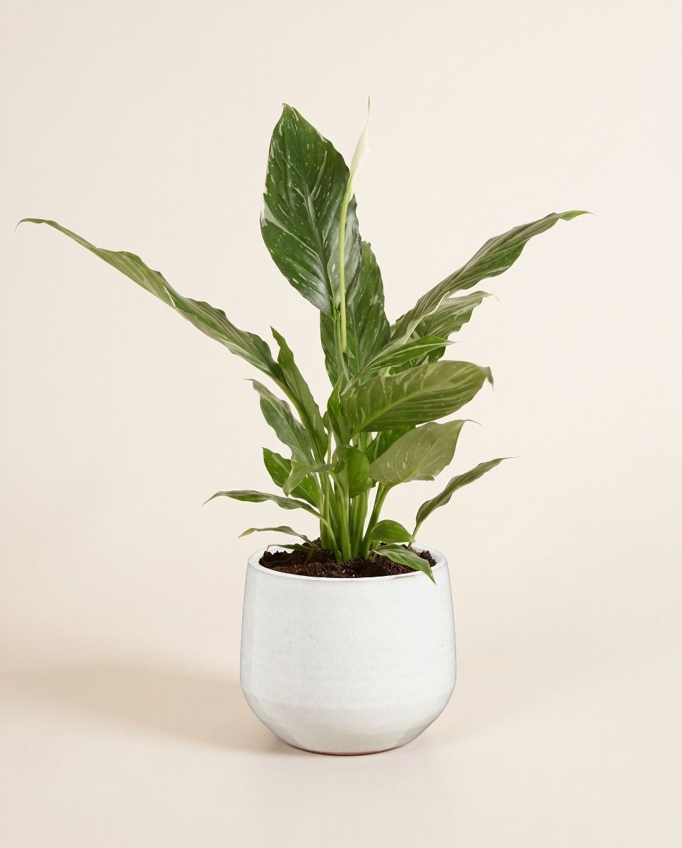 Matteo Pot White Ø 18 cm