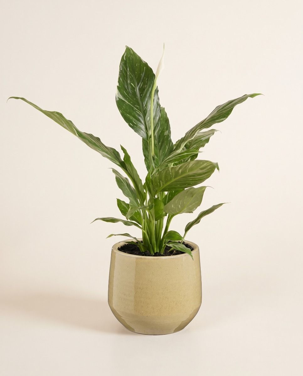 Matteo Pot Taupe Ø 18 cm