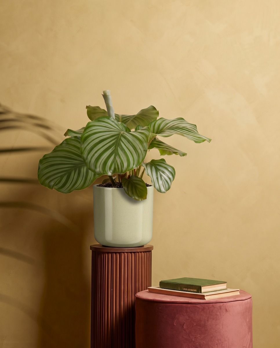 Fedor Pot Light Green Ø 17 cm