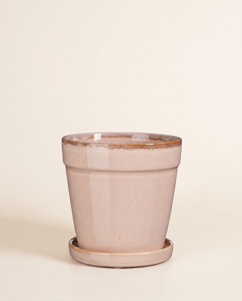 Clint Pot with Saucer Light Pink Ø 17 cm