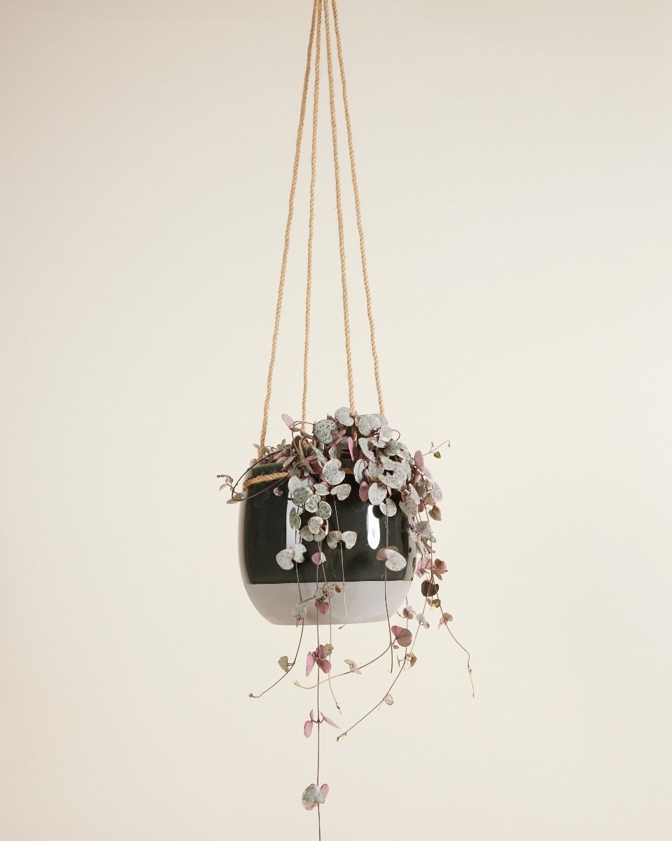 Nea Hanging Pot Grey Ø 13 cm