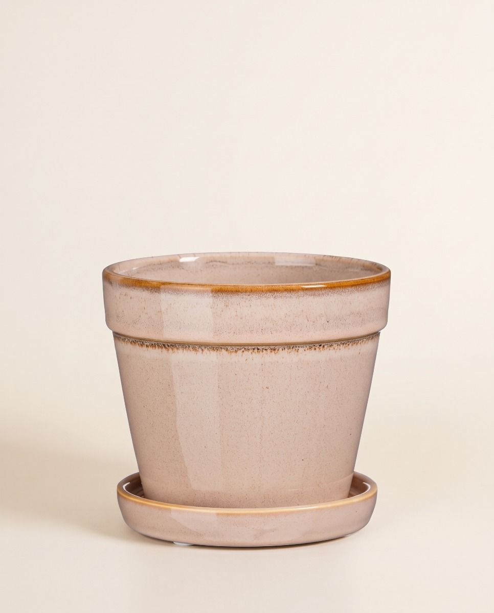 Clint Pot with Saucer Light Pink Ø 15 cm