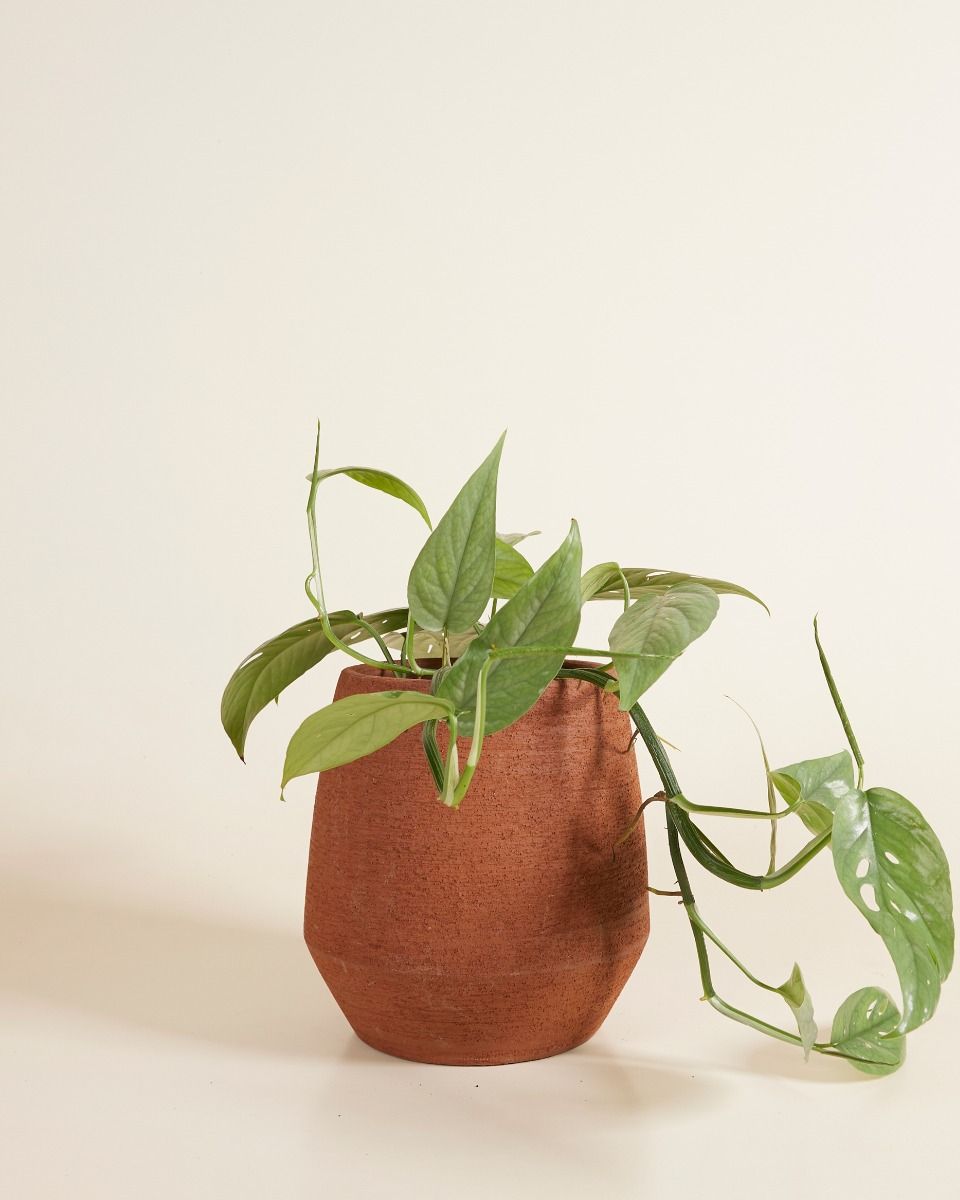 Hubert Pot Terra Ø 13.5 cm
