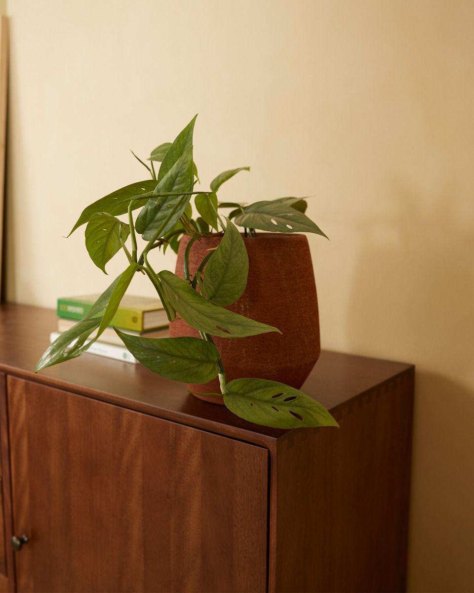 Hubert Pot Terra Ø 13.5 cm