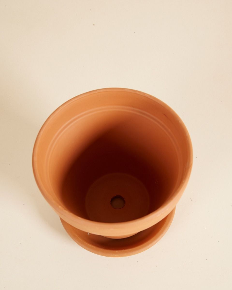 Orange Terracotta Pot Ø 14 cm