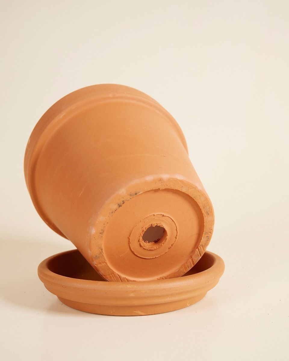 Orange Terracotta Pot Ø 14 cm