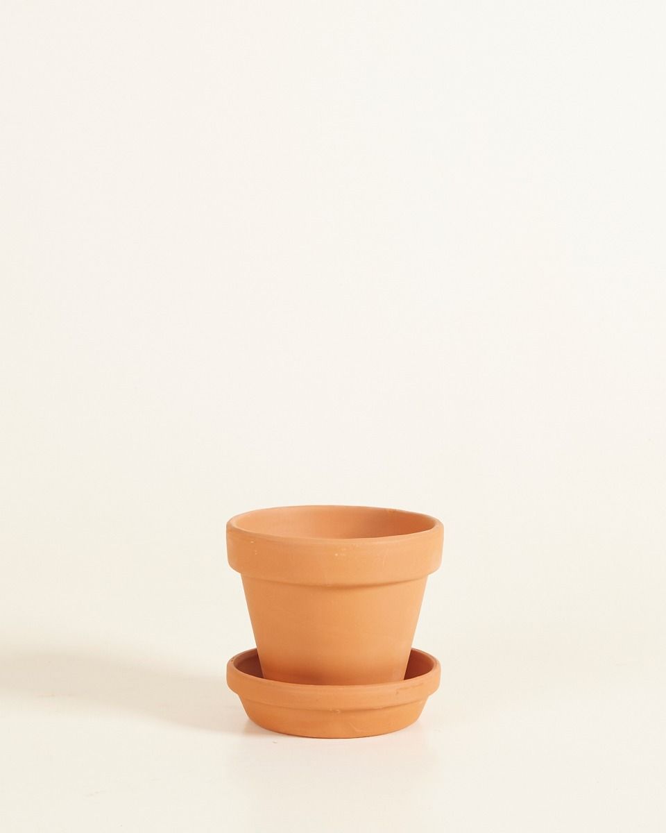 Baby Orange Terracotta Pot Ø 9 cm
