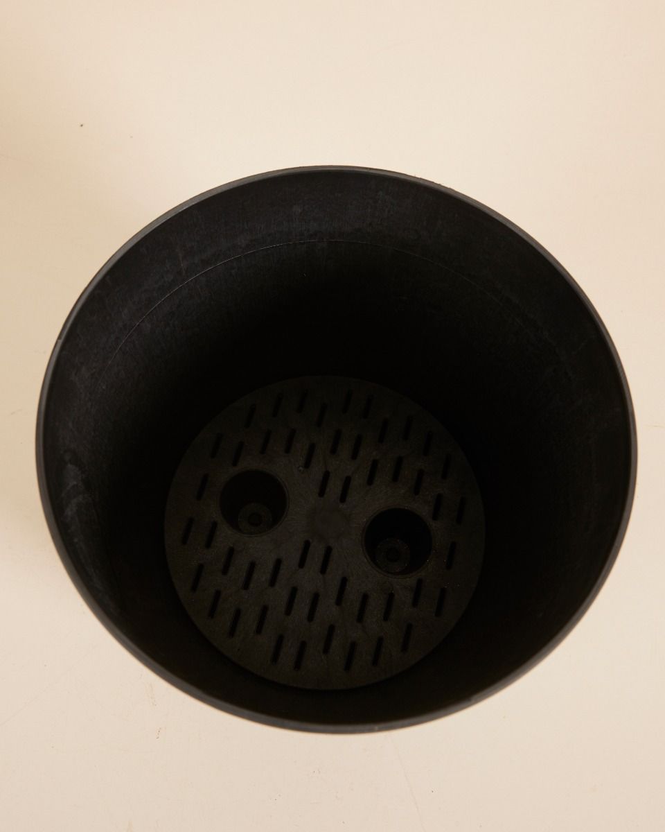 Bola Pot Black Ø 23