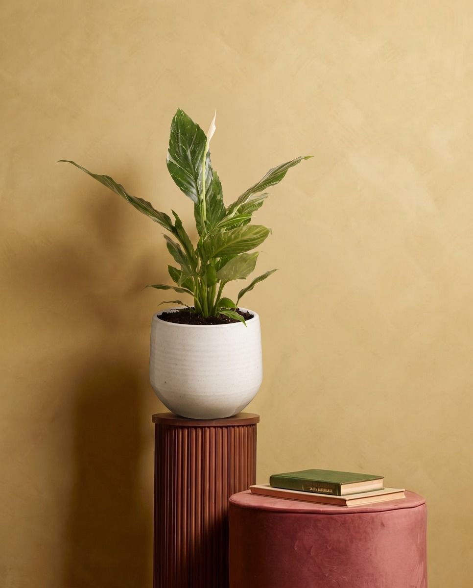 Matteo Pot White Ø 22 cm