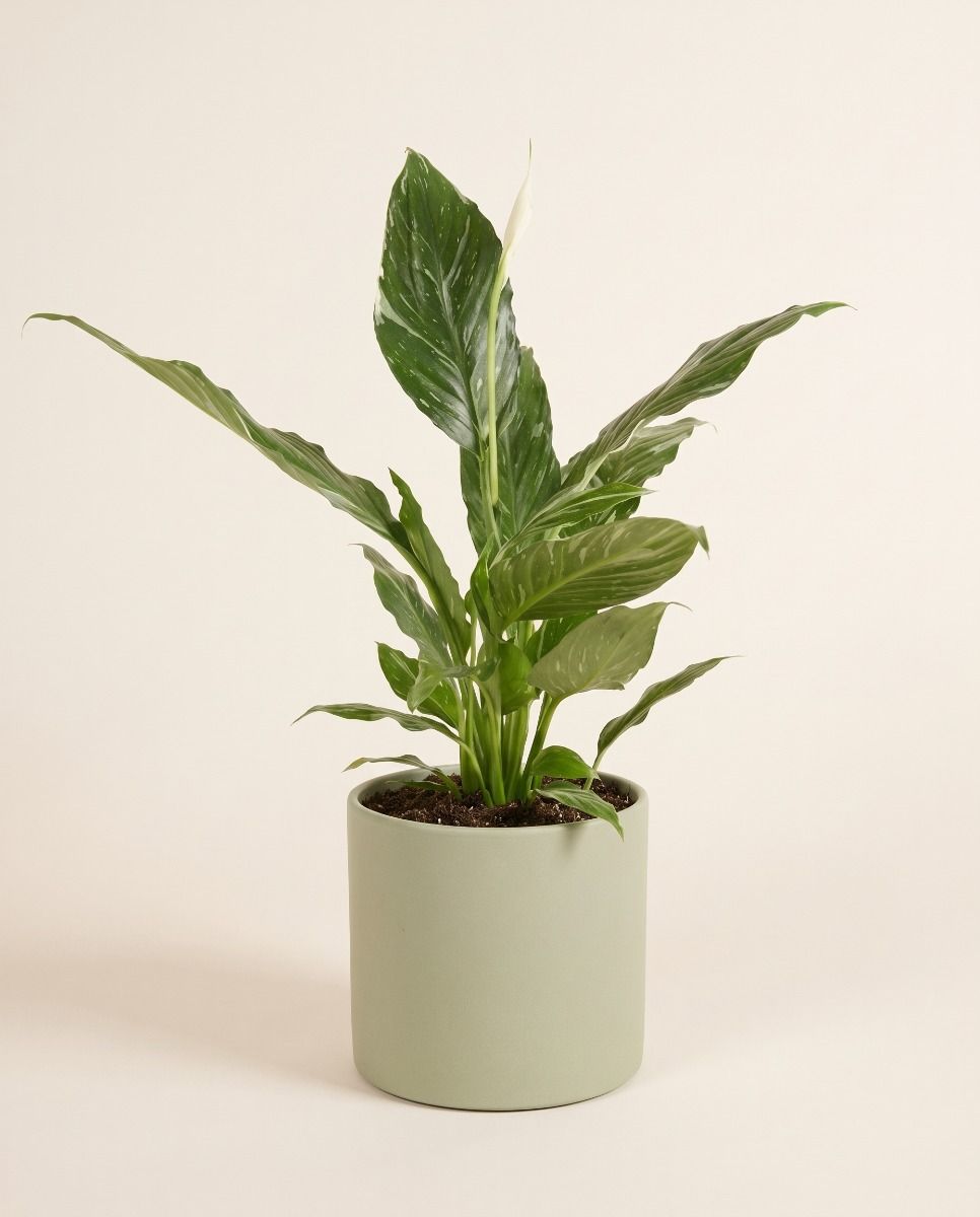 Era Pot Mint Green Ø 23 cm