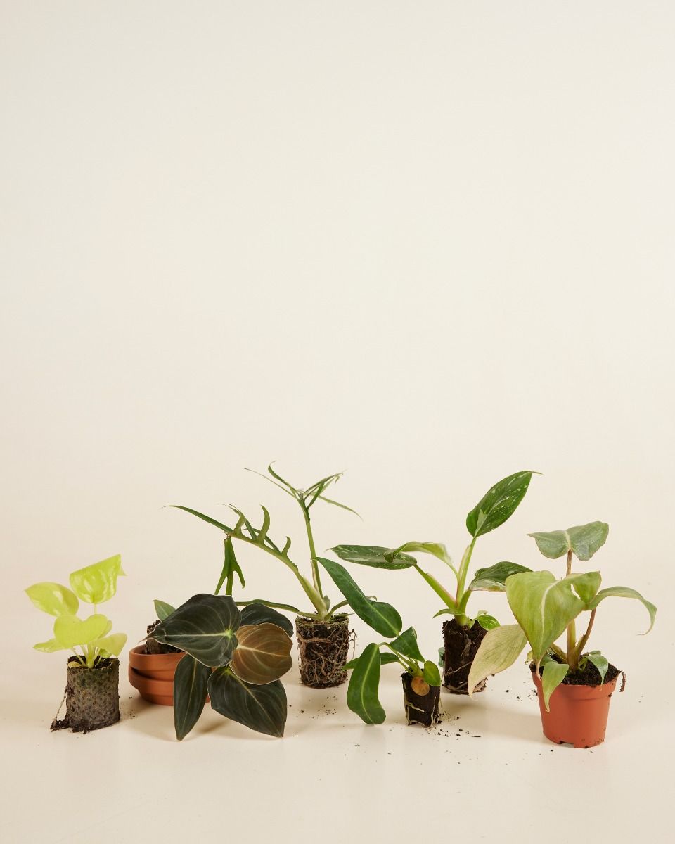 Sustainability box Baby Product set