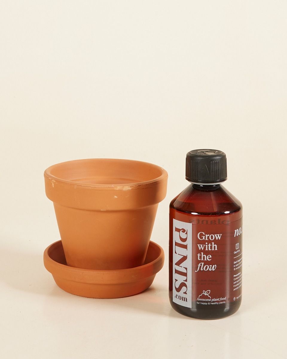 Grow Set 2 Terracotta 11cm, Plant Nutrition