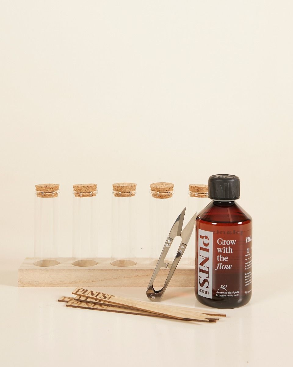 Propagation Ensemble-cadeau Productset