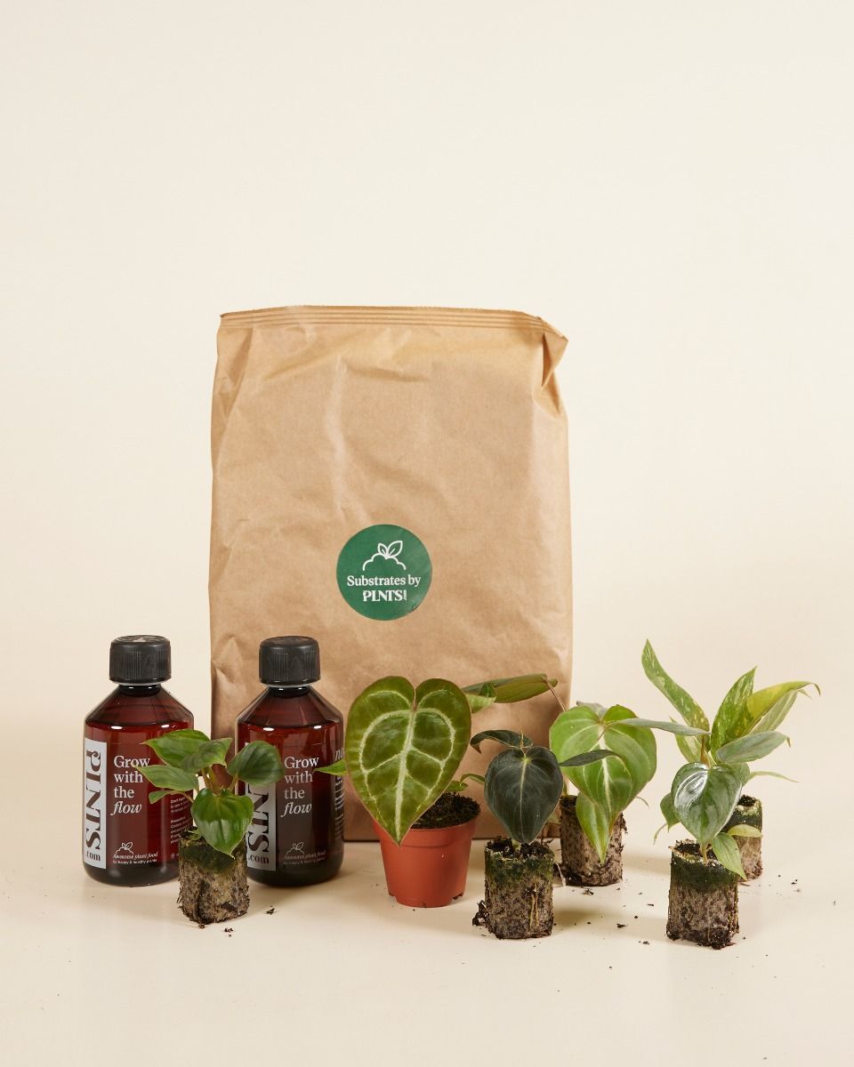Rare Plant Super Baby Mix Set  Productset