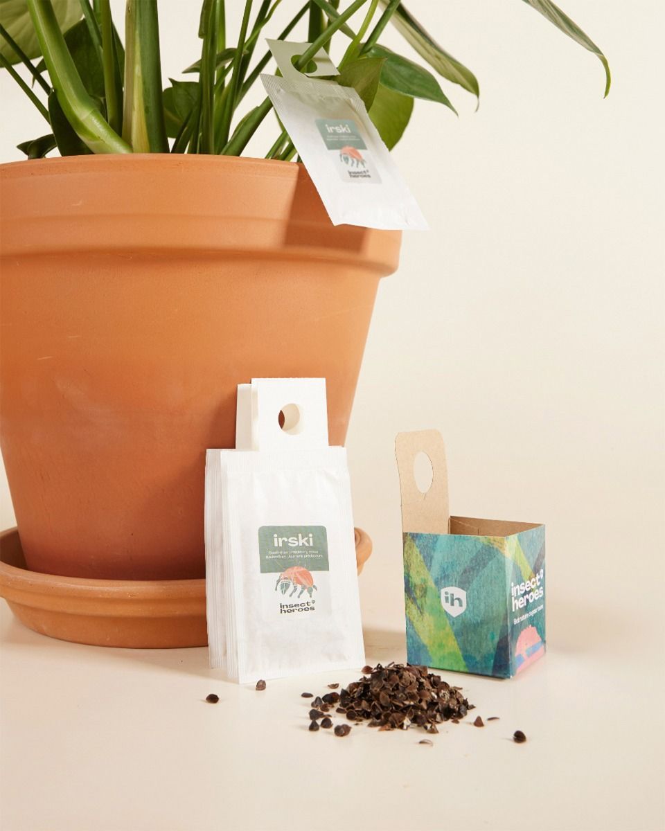 Offre combinée de lutte antiparasitaire : thrips Carna + Irski