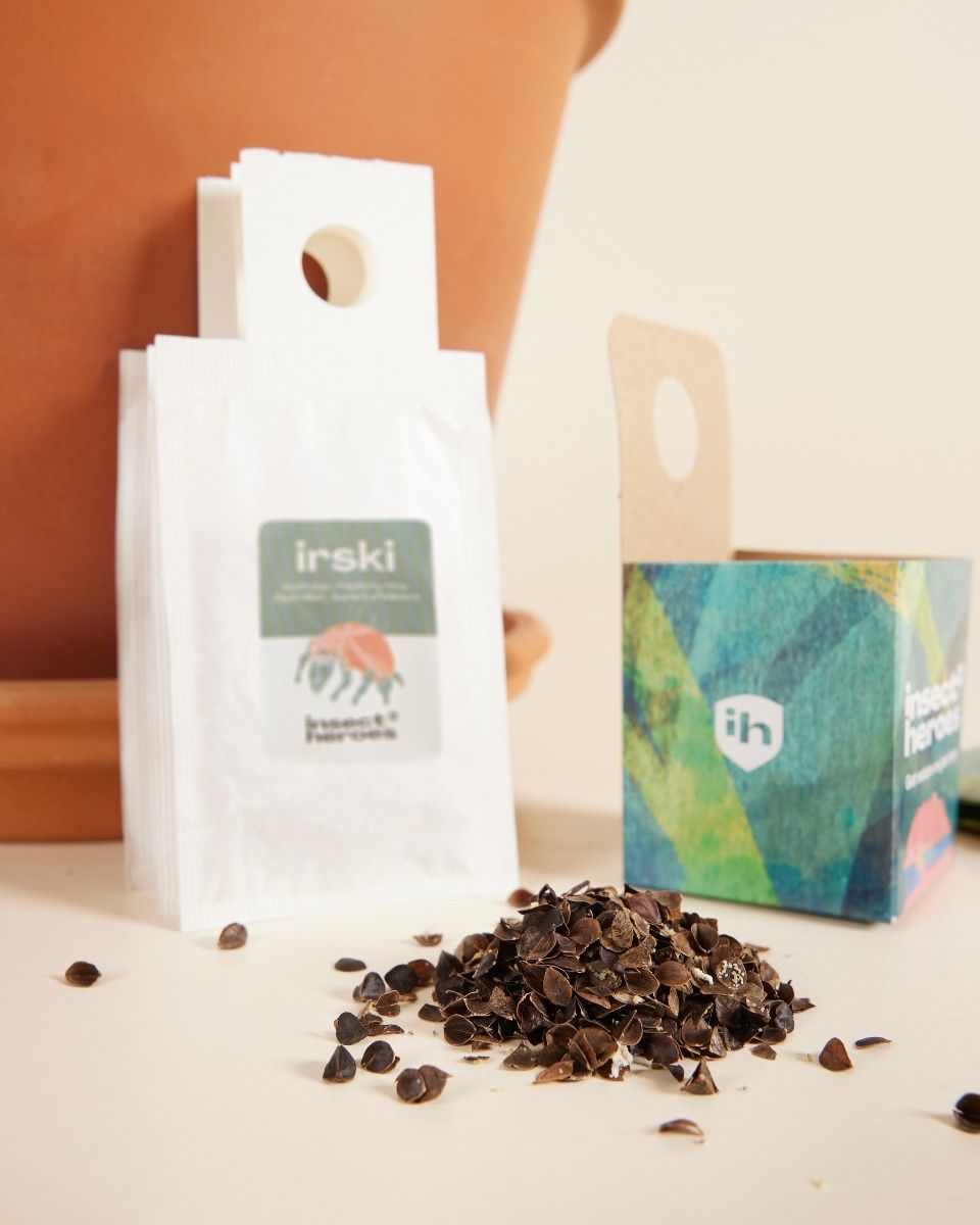 Offre combinée de lutte antiparasitaire : thrips Carna + Irski