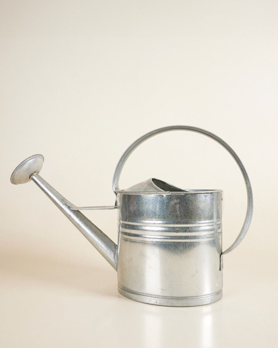 Harper Watering Can Zinc