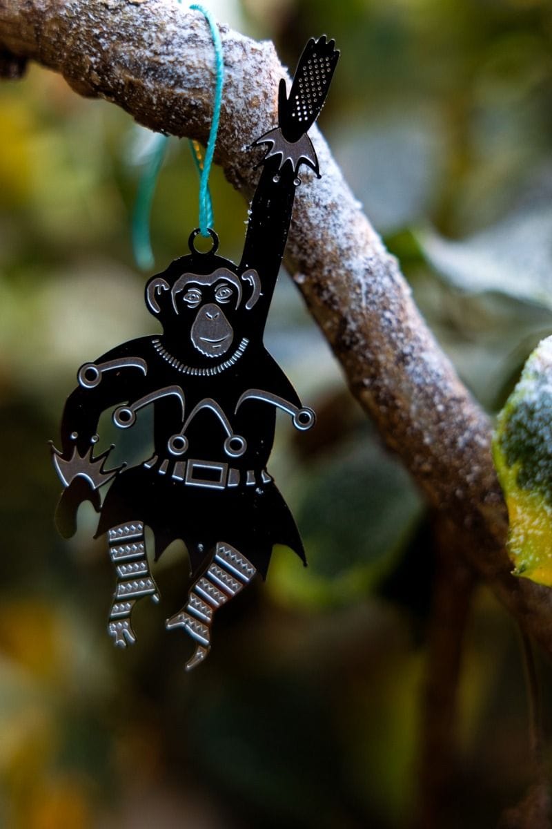 Überraschung Weihnachts plant buddy