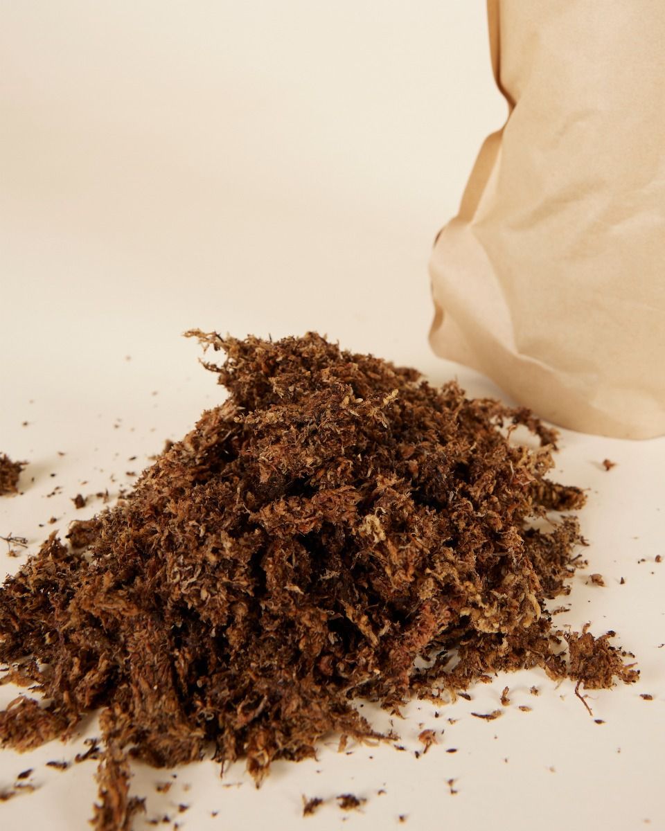 Sphagnum Moss 1 liter