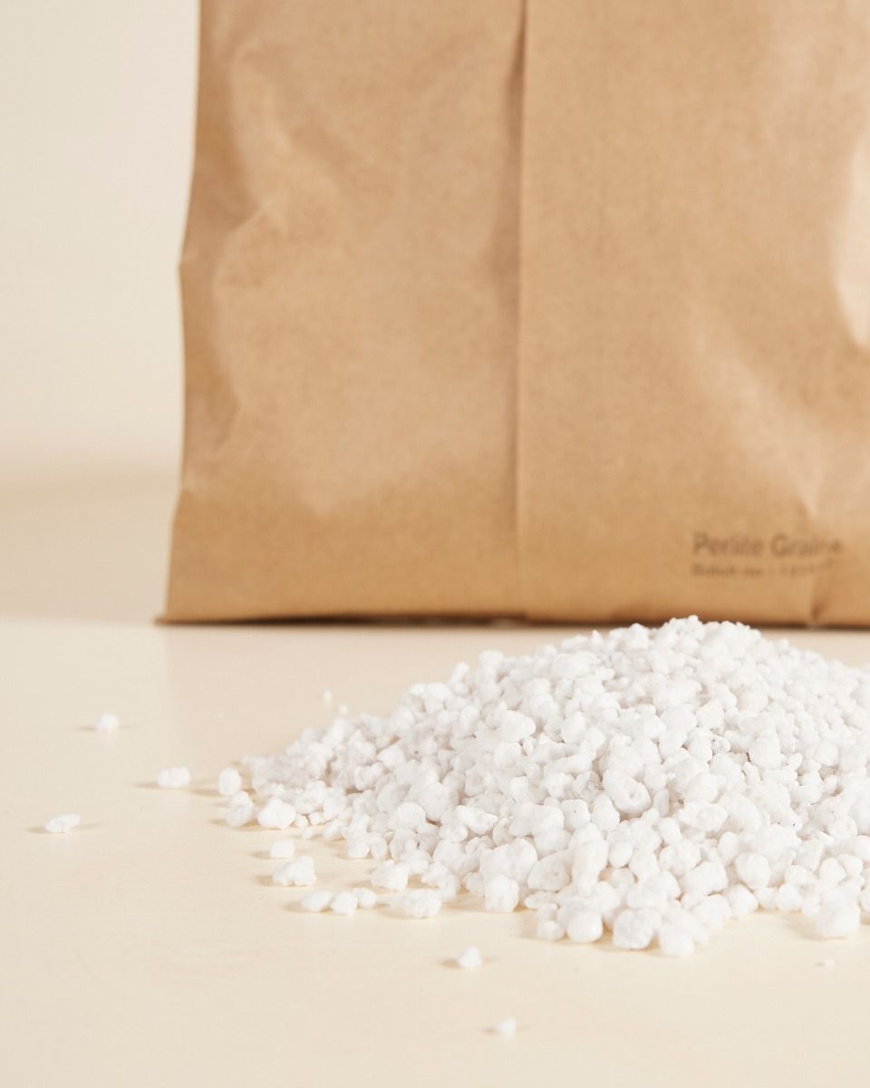 Perlite Grains 1 liter