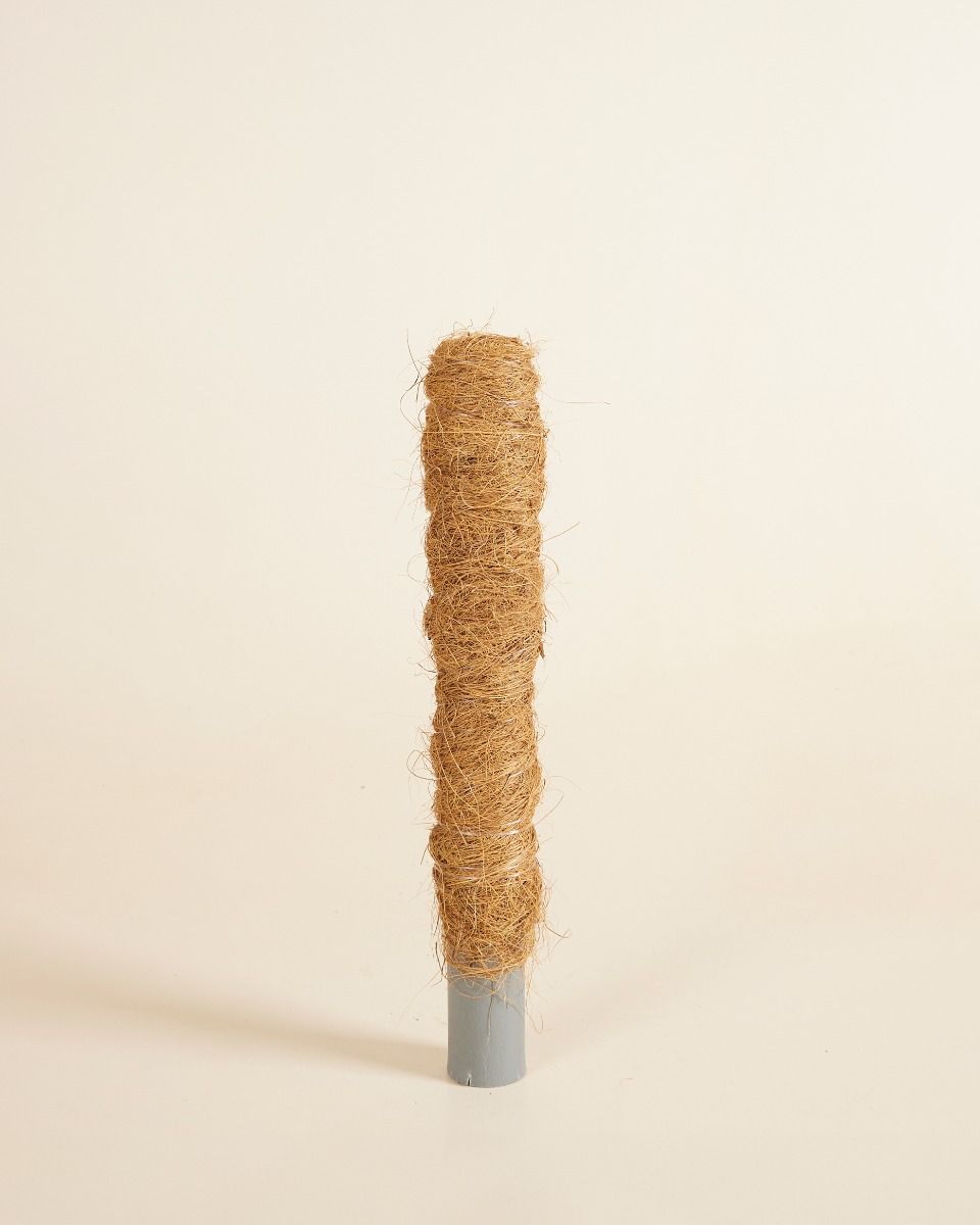 Peter Moss Pole 30 cm