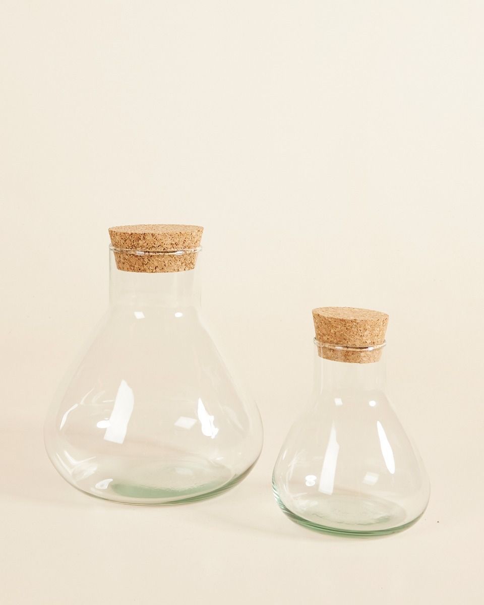 Emily Terrarium Mini Ø 12 cm
