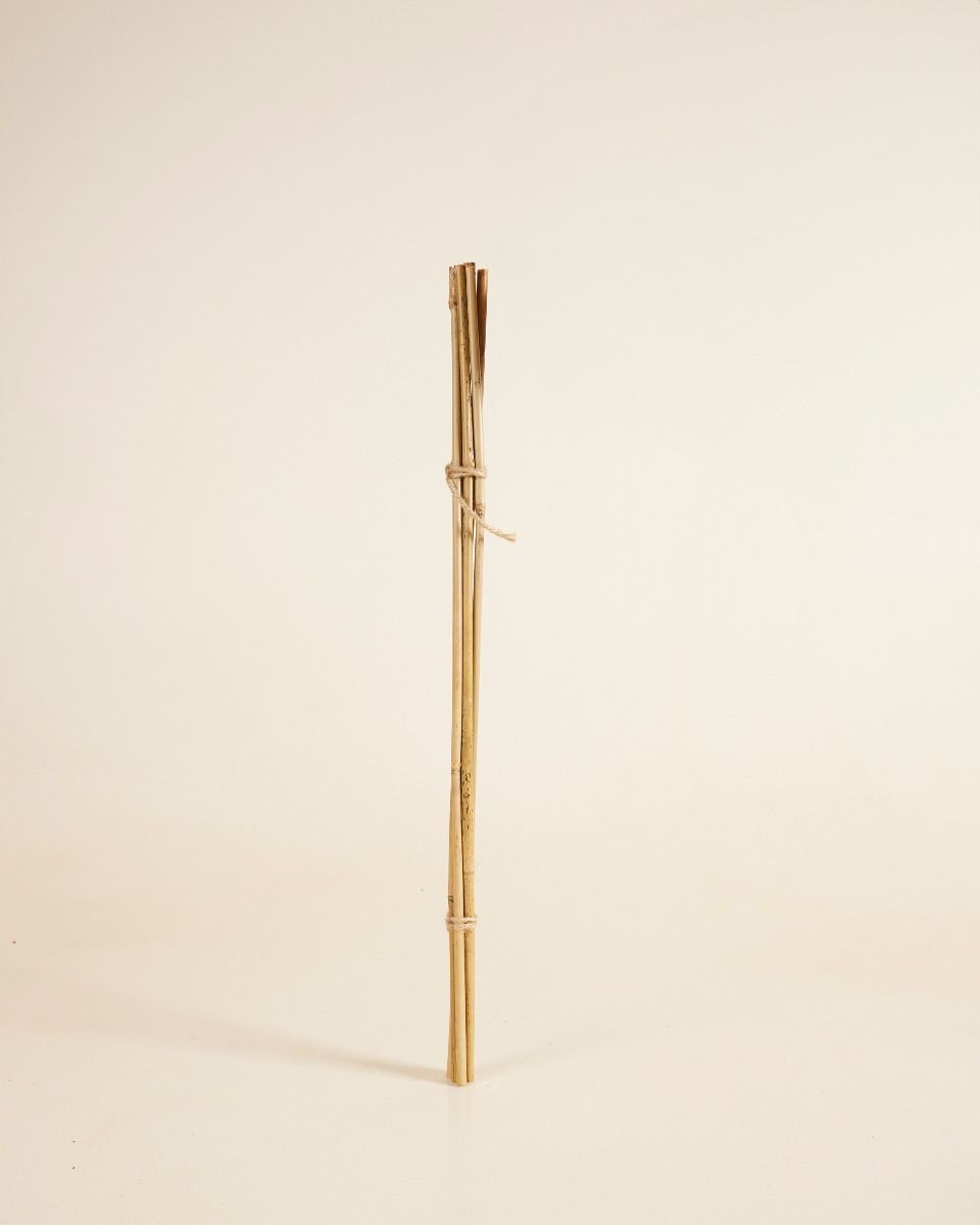 Bâton de bambou 50 cm 5 pièces