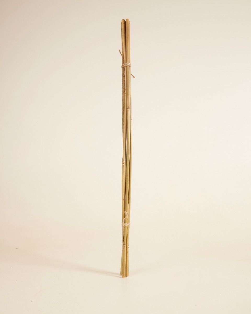 Bâton de bambou 70 cm 5 pièces