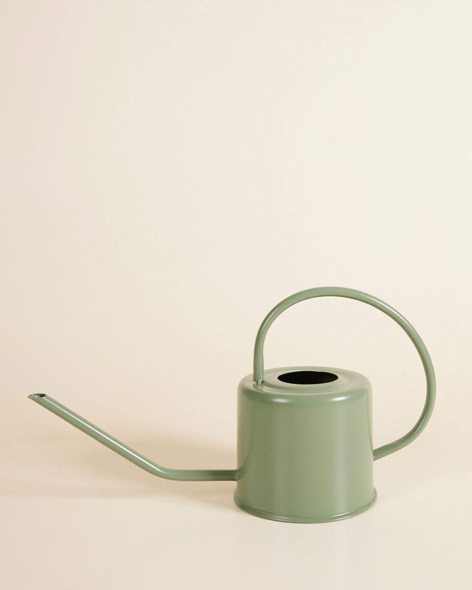 Ancho Watering Can Green 1.2 liter