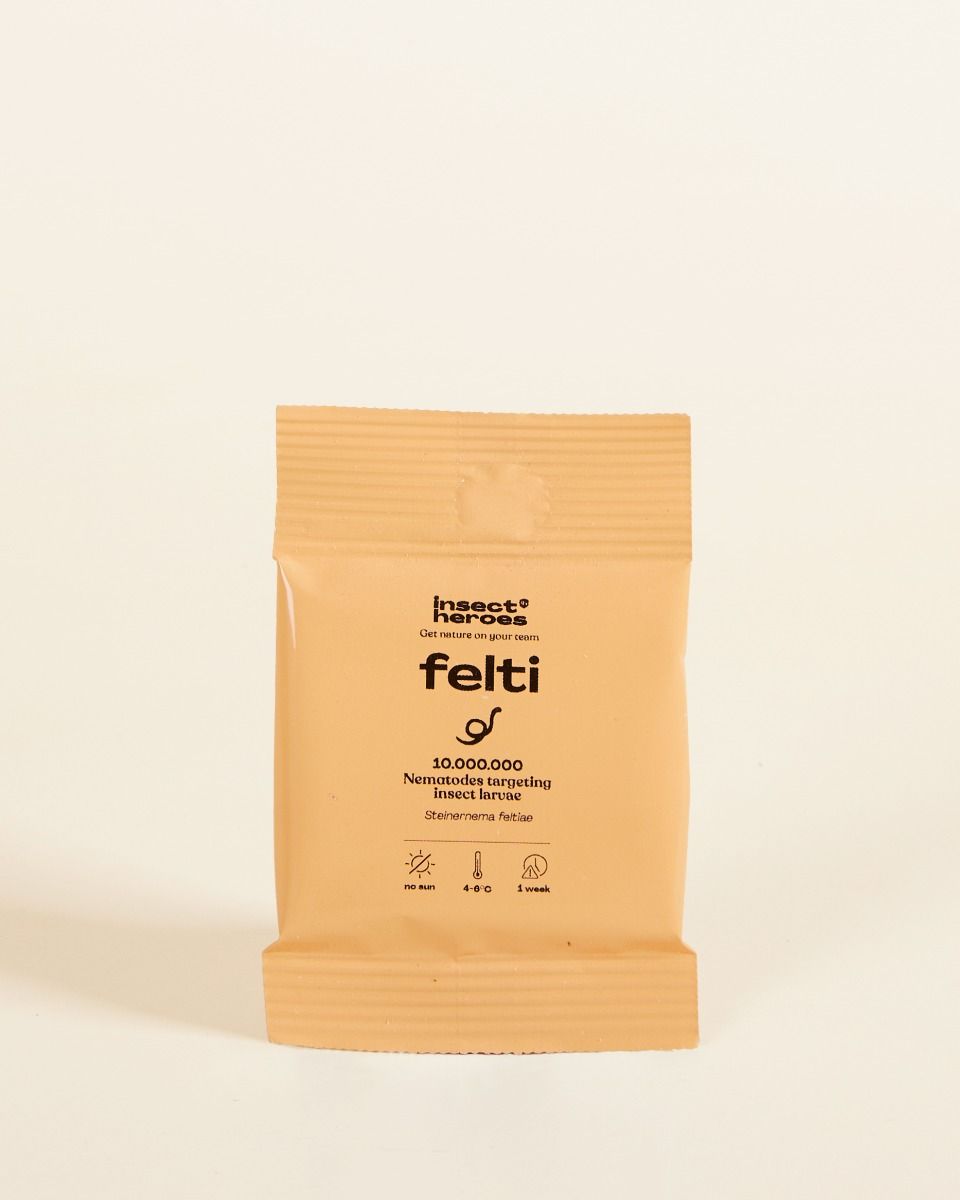 Biological pest control: fungus gnats Felti