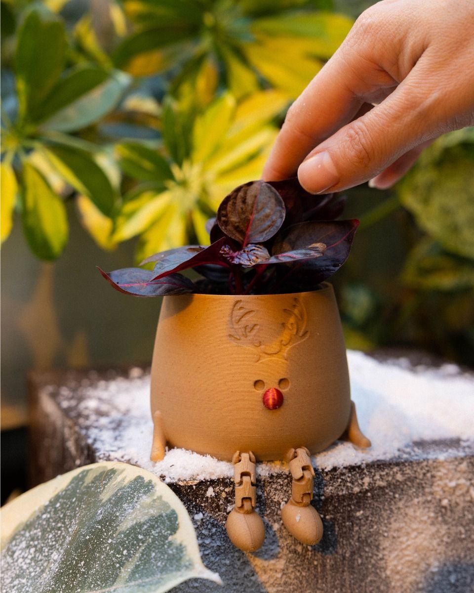 Baby Happy Rudolph Pot Ø 6 cm