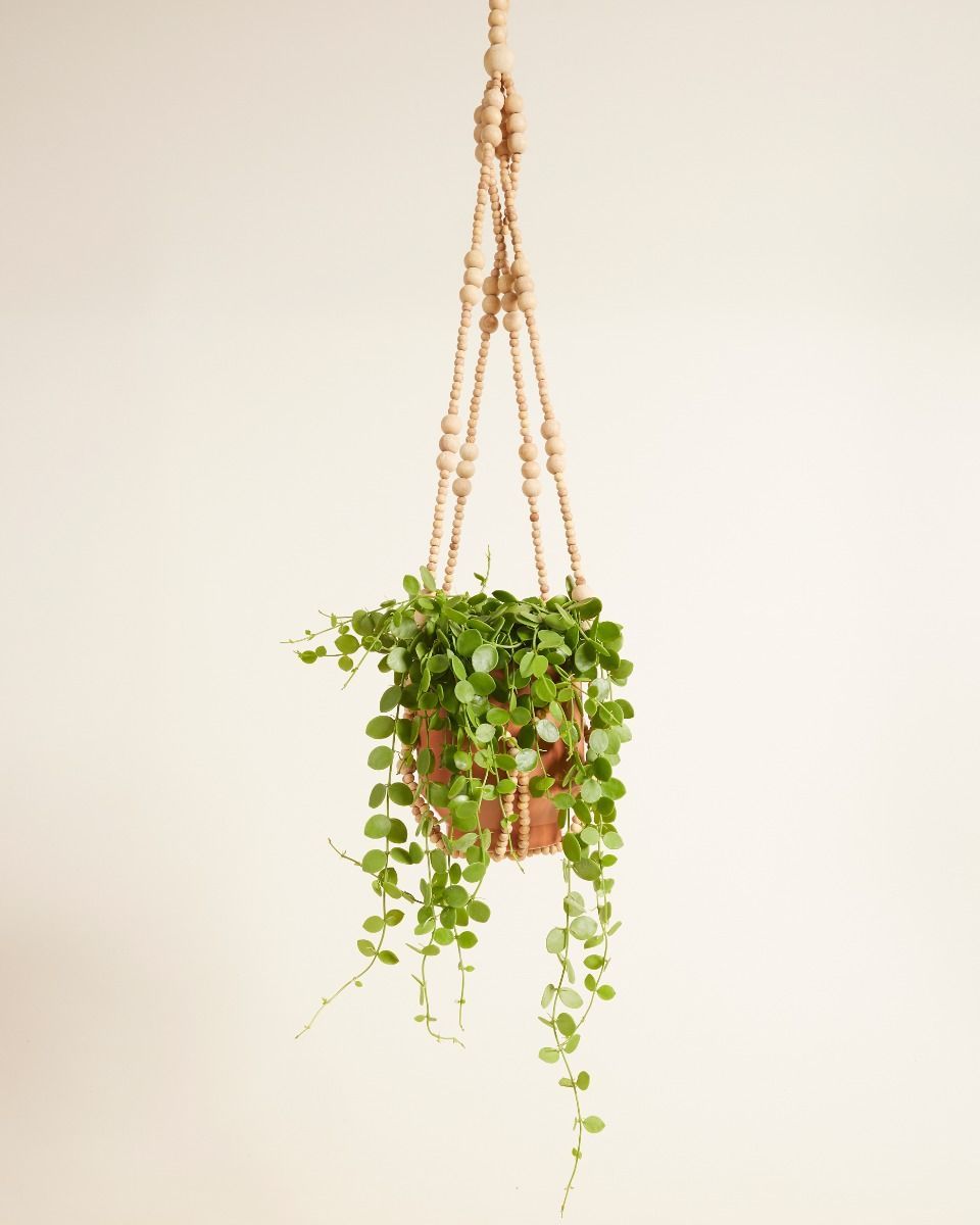 Terry Hanger Naturel 80 cm