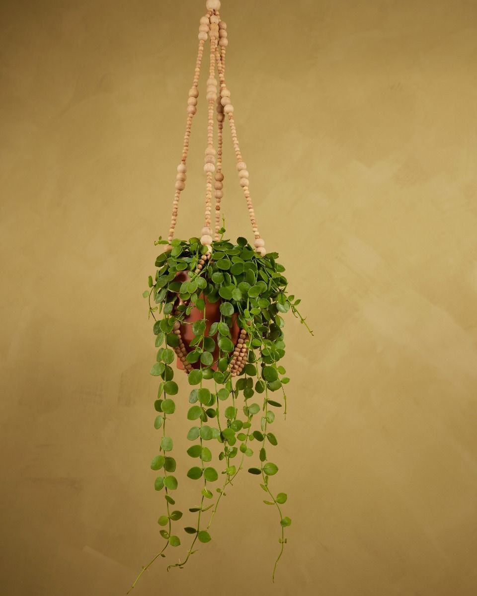 Terry Hanger Naturel 80 cm