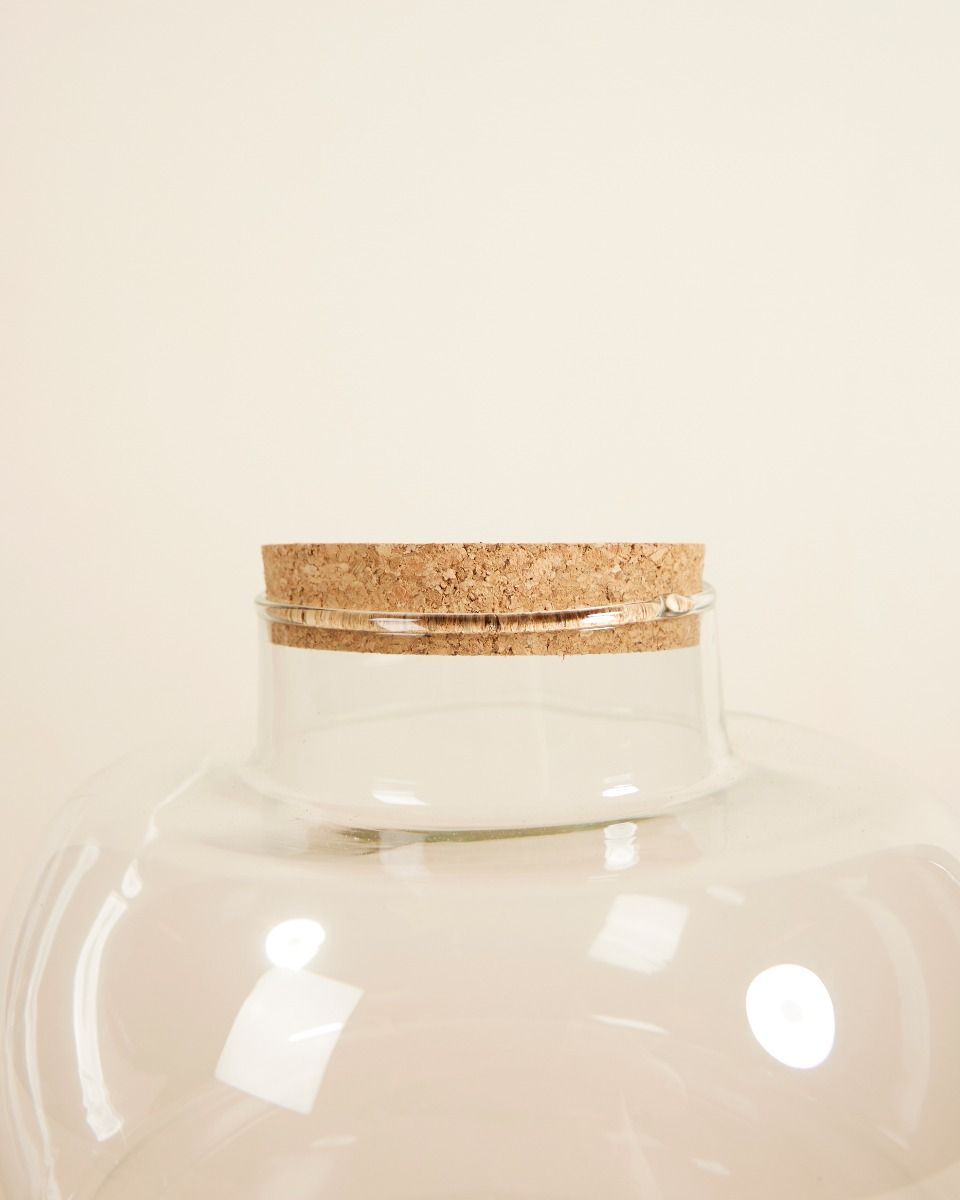 Bello Terrarium Medium Ø 21 cm