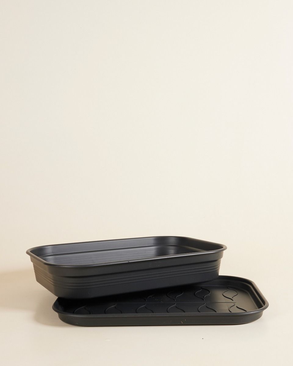 Elho Hagrid Grow Tray Productset