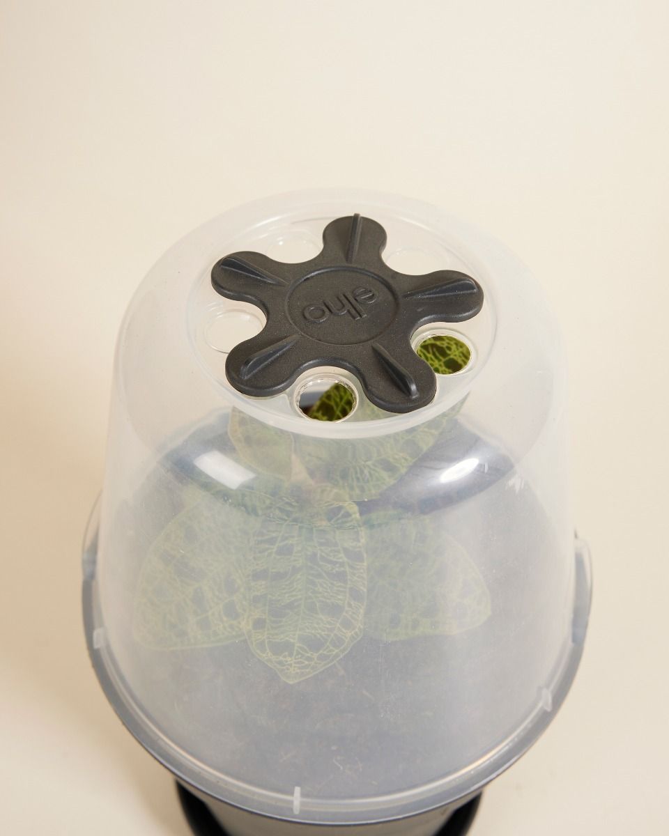 Elho Hagrid Grow House L